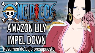 Resumiendo ONE PIECE AMAZON LILY  IMPEL DOWN en 1 video [upl. by Ulita884]