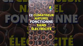 Ce climatiseur naturel fonctionne sans électricité  😲 shorts [upl. by Nnylrebma]