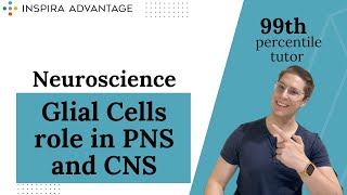 MCAT Crash Course  Neuroscience Glial Cells in PNS amp CNS [upl. by Alburg]