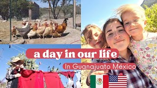 Day in Our Life in Guanajuato México Vlog [upl. by Einyaj]