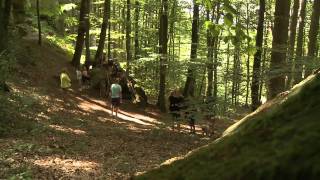 Camping Nommerlayen Luxemburg [upl. by Tabib]