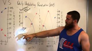 Advanced Powerlifting Programming  Daily Undulating Periodization [upl. by Yelekalb]