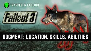 How To Find Dogmeat Its Location in Fallout 3 [upl. by Barimah]