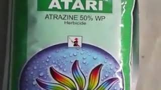 खरपतवार नाशक दवा एट्राजिन का कार्य  Atari Atrazine  क्या आपने इस्तेमाल किया है [upl. by Desberg]