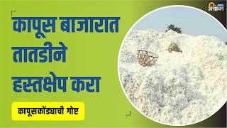 सरकारने Cotton Yarn Rate कमी करावेत  Cotton Production India  Agrowon  ॲग्रोवन [upl. by Ahseit]