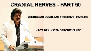 CRANIAL NERVES  PART 60VESTIBULAR COCHLEAR 8th NERVE PART 10HINTSBRAINSTEM STROKE VS APV [upl. by Aihselef941]