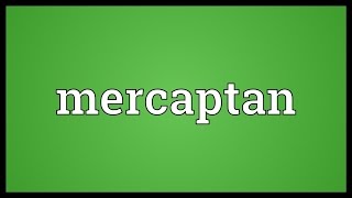 Mercaptan Meaning [upl. by Aeniah]