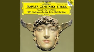 Mahler RückertLieder  Ich bin der Welt abhanden gekommen [upl. by Campy]