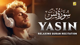 Peaceful Quran Recitation of Surah Yasin Yaseen سورة يس  SOFT VOICE  Zikrullah TV [upl. by Rochemont]