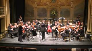 CPE Bach  Concerto for flute strings and continuo in D minor Wq 22 [upl. by Wallie]