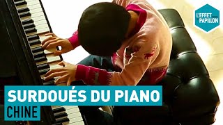 Chine  Les Surdoués du Piano  LEffet Papillon [upl. by Charlena]