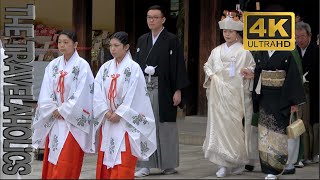 Meiji shrine ⛩ 明治神宮 Meiji Jingū Tokyo Japan 🇯🇵 [upl. by Hayila]