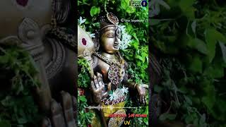 panam pathavi thevai illai god murugan songgod murugansongs whatsappstatusvideo [upl. by Sherborne]