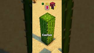 Stacked Striders vs Tall Cactus which is RARER didyouknow minecraftanimation [upl. by Yelsehc]