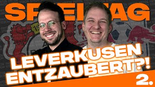 Heidenheim auf die 1  2 Spieltag  Bundesliga  Saison 20242025  Highlights  Rückblick [upl. by Ahsrat]