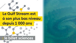 Le Gulf Stream à son plus bas niveau depuis plus de mille ans [upl. by Elleirda]