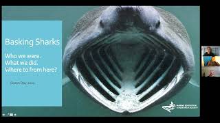 Basking Shark webinar for Ocean Day [upl. by Norabel18]