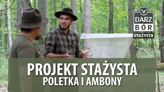 7 PROJEKT STAŻYSTA  Poletka i ambony [upl. by Ailemac]