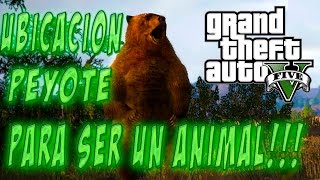 GTA V Next gen Ubicacion peyote para convertirse en un animal [upl. by Chappy947]