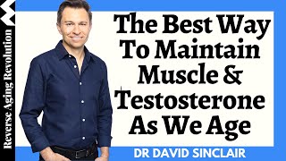 The BEST Way To Maintain Muscle amp Testosterone As We Age  Dr David Sinclair Interview Clips [upl. by Auhsohey]