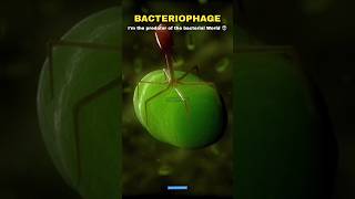 Bacteria vs Virus vs Bacteriophage 🗿👽 shorts scienceofinfinity science [upl. by Oznofla517]