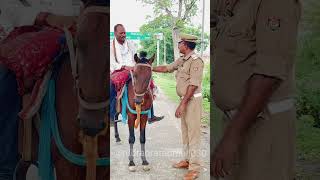 कुछ पल घुड़सवार के साथ।।trafficawarenes roadsafety horse horserider shorts [upl. by Pownall]