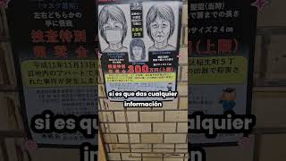 En Japón Aún Existen Caza Recompensas  Raju Aleatorio  Anime Manga [upl. by Eldwon537]