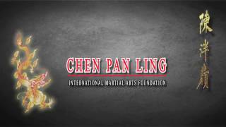 quotNEWquot Chen Pan Ling Authentic Tai Chi Chuan DVD [upl. by Ardnahs287]