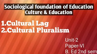 Cultural Lag amp Cultural Pluralism Bed 2nd sem explained by Namita [upl. by Aneetak]