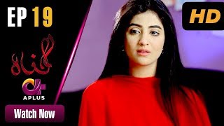 Gunnah  EP 19  Aplus Sara Elahi Shamoon Abbasi Asad Malik  Pakistani Drama  C3M1 [upl. by Novert]