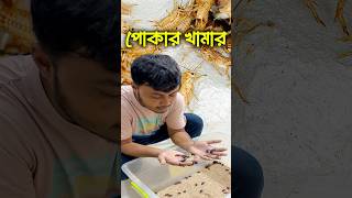 পোকামাকড় চাষের মাধ্যমে বেকারত্ব কমানো সম্ভব insects pets ornofpets [upl. by Bork]