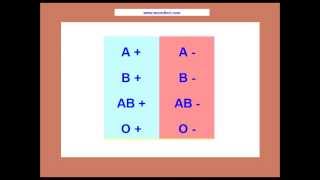 Blood Group Type In UrduHindi Noor Clinic Video [upl. by Nuhsed]