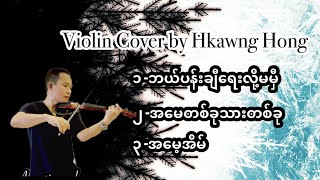 ဘယ်ပန်းချီရေးလို့မမှီအမေတစ်ခုသားတစ်ခုအမေ့အိမ်Mothers day songs violin cover musicMyanmar songs [upl. by Natanoy]