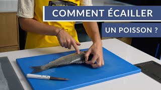 Comment écailler un poisson [upl. by Akihsan]