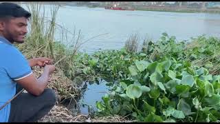 Bowal fish catching in villager river Unique hook fish video [upl. by Htur]