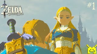 The Legend of Zelda Breath of the Wild  Memory 1 Subdued Ceremony Nintendo Switch [upl. by Baron696]