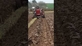 McCormick B275 at Salopian Charity Ploughing Match 26th March 2023 [upl. by Abercromby463]