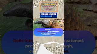 quotPangolins Unveiled Natures Armored Anteaters  30Second Insightsquot [upl. by Yleoj]