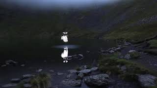 Marconi Union  Weightless Official Video 3D [upl. by Aerdnwahs]