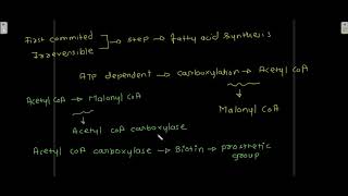 Biosynthesis of fatty acids Synthesis of palmitic acid Elongation of fatty acid [upl. by Sivia]