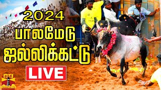 🔴LIVE  அனல் பறக்கும் பாலமேடு ஜல்லிக்கட்டு 2024  Visuals of Palamedu Jallikattu 2024  Thanthi TV [upl. by Snell]