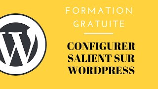 1013 Configurer le thème WordPress Salient [upl. by Seroled]