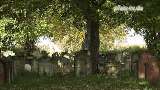 Impressionen vom Jüdischen Friedhof Lustadt  Pfalz  Jewish cemetery Lustadt [upl. by Etnor]