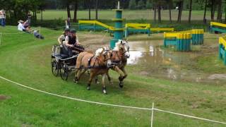 Fahrturnier Riesenbeck 2152017 [upl. by Lesko]