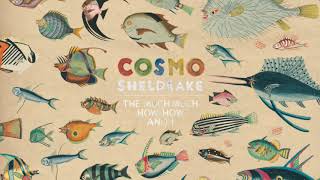 Cosmo Sheldrake  Linger Longer [upl. by Beghtol]