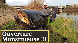 UNE OUVERTURE DU CARNASSIER ENORME  PECHE DU SILURE AUX ABATS DE VOLAILLE [upl. by Nosaes]