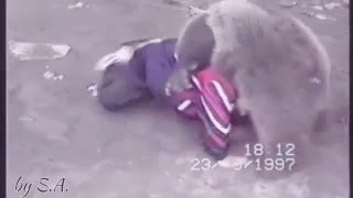 Khabib Nurmagomedov vs Bear [upl. by Pickar829]