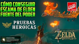 TLOZ Breath of the Wild  Como conseguir escama de Elden  La Fuente del poder [upl. by Ariek582]