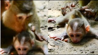 Mommy Flora uses her lips to kiss florn baby to teach him to walk for the first time [upl. by Meeharbi]