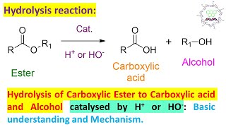 Ester Hydrolysis or Hydrolysis of Carboxylic acid esters by acid or basecatalyzed [upl. by Ertemed769]